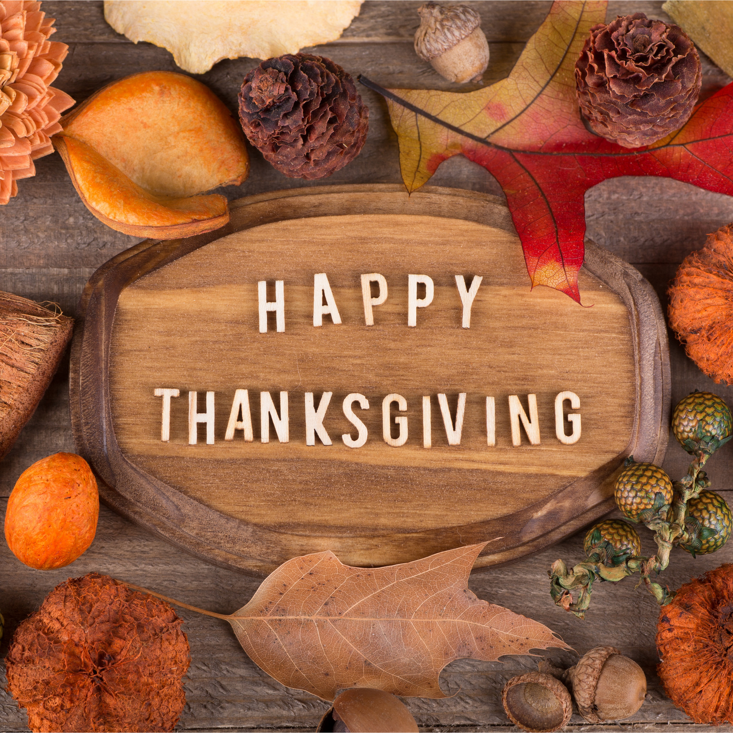 Thanksgiving.