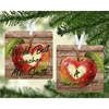 Teacher ornaments